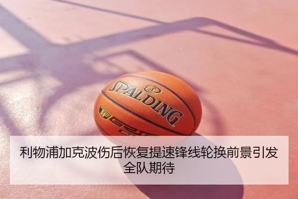 利物浦加克波伤后恢复提速锋线轮换前景引发全队期待