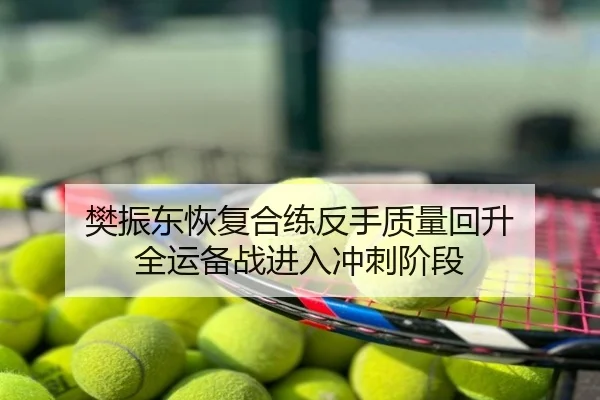 樊振东恢复合练反手质量回升 全运备战进入冲刺阶段